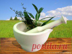 Оптимальная перепланировка двухкомнатной хрущевки (народной полуторки)