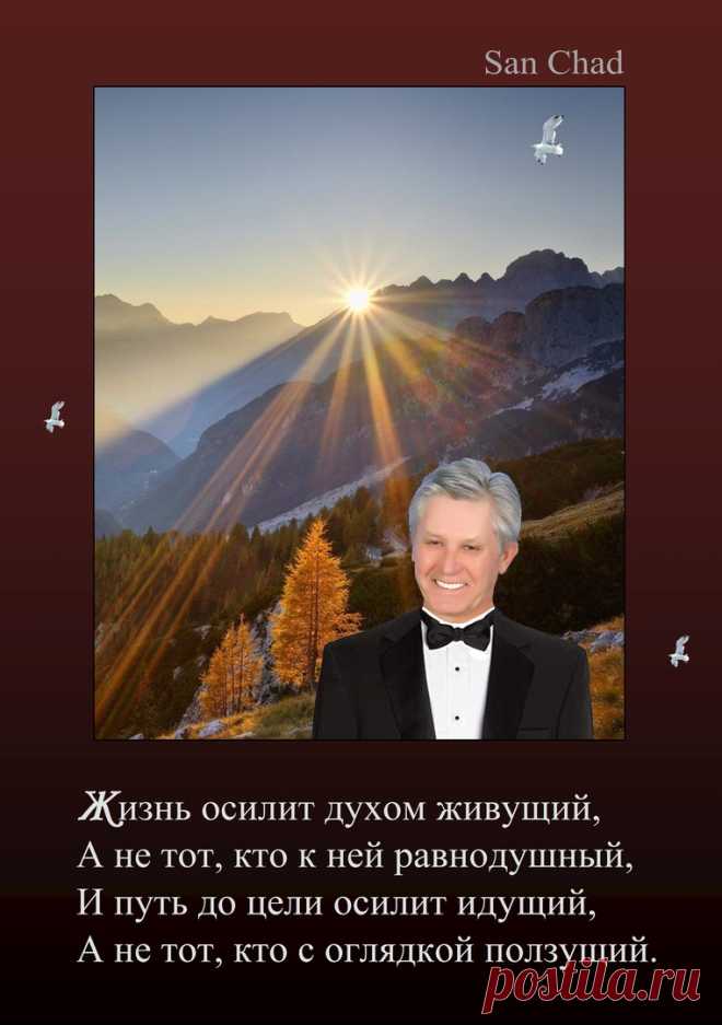 САН ЧАД * ИЗБРАННЫЕ СОФИТЫ – 188 фотографий