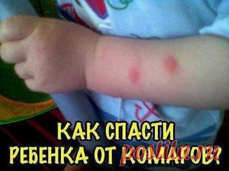 Что помогло мне - рекомендую вам.

В прошлом году к бабушке попали в сезон мошкары и комаров... Жуть просто, у моей крохи живого места не было! Что мы за 1.5 месяца пребывания там только не пробовали... Отдыхающая рядом соседка посоветовала следующий способ, говорит "НИ ОДНА ТВАРЬ НЕ ПОДЛЕТИТ И НЕ УКУСИТ!"

И это правда, ни одна не подлетела и не укусила... Попробуйте! Дешевый, блин, до невозможности!

Необходимые ингредиенты:
Детский крем (не просроченный) – 1 тюбик
Ванил...