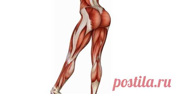 Потрясающие ноги! Упражнения для мышц бедра и ягодиц