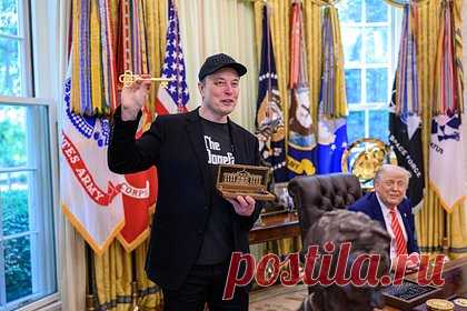 Российский военкор назвал житомирским цирком ссору Маска и Трампа