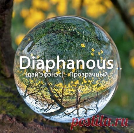 Словарный запас (EN)