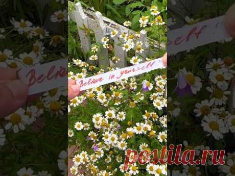 Послание на сегодня ❤️ Message for today #diy #art #polymerclay #shotrs