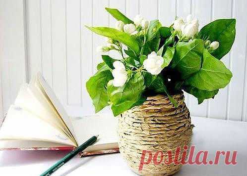 Быстрое превращение банки в вазочку — DIYIdeas