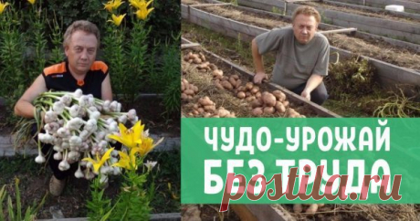 Огород Игоря Лядова – чудо, посильное каждому 


Чем дольше земельный участок используется для выращивания сельскохозяйственных культур, тем менее плодородным он становится. Урожаи падают, сколько бы сил в них не было вложено, а то, что удается в…