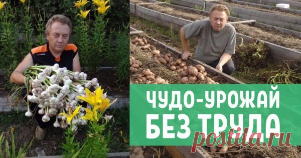 Огород Игоря Лядова – чудо, посильное каждому 


Чем дольше земельный участок используется для выращивания сельскохозяйственных культур, тем менее плодородным он становится. Урожаи падают, сколько бы сил в них не было вложено, а то, что удается в…