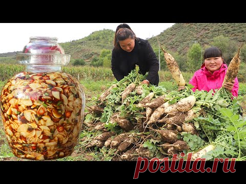 Холодно, сестра Ся учит делать маринованный редис