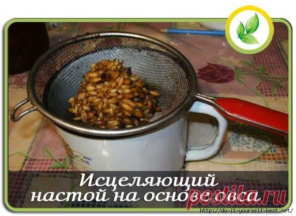 Исцеляющий настой на основе овса