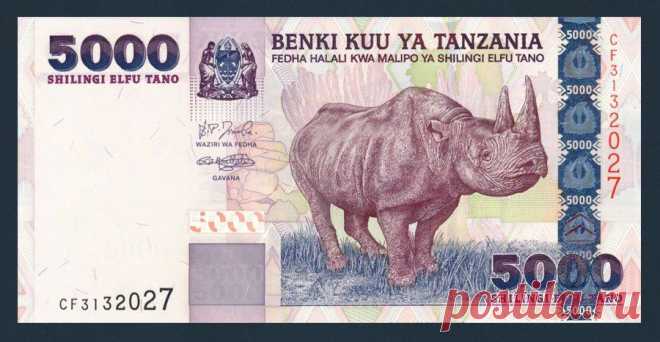 World banknotes | RNS