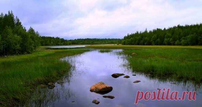 брат :: безымянная речушка :: Природный пейзаж :: Галерея :: Клуб Foto.ru