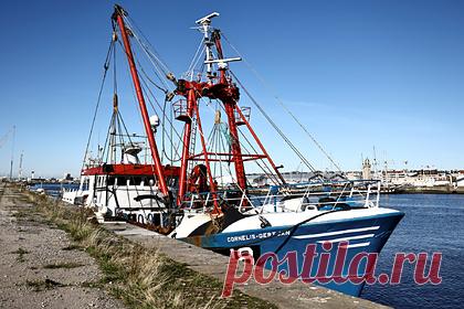 Британия ответит на захват своего судна в Ла-Манше. Угрозы Парижа помещать британским судам вести рыбный промысел и посещать порты Франции встретят симметричный ответ, заявили в Лондоне. Эскалация продолжающего со времен Brexit конфликта за право ловить рыбу в водах Ла-Манша произошла после того, как в ночь на 28 октября французские власти задержали британский траулер.