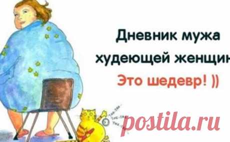 Дневник мужа худеющей женщины Я, конечно, всё понимаю. И стремление всех дамочек, в том числе и моей любимой, стать ещё лучше, чем они есть на самом деле. Но вот их маниакальное стремление сделать лучше всех окружающих мне, наверное, недоступно…Началось все, как обычно, после прошлогодних новогодних праздников. Моя благоверная попыталась начать новую жизнь с началом года. Но как бы не так.