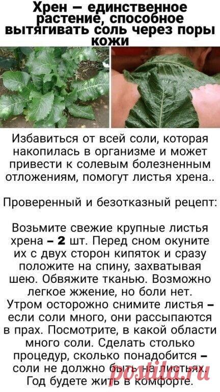 Про хрен и здоровье