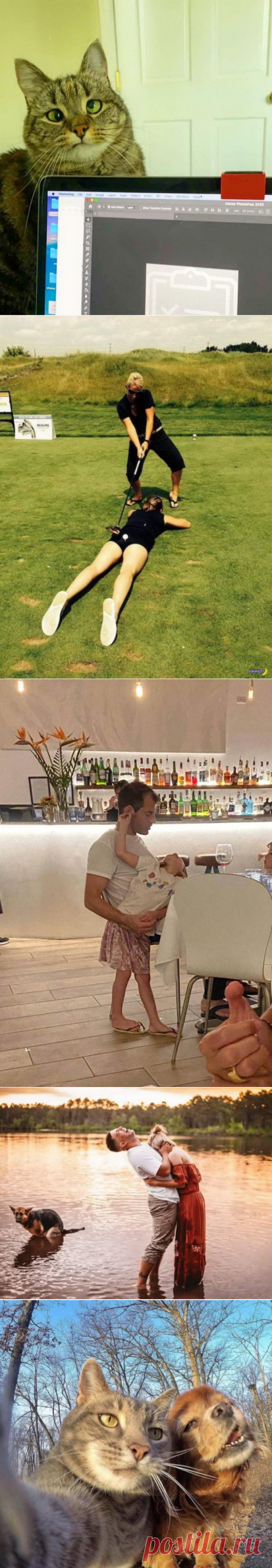 Подборка прикольных картинок и фотографий-257