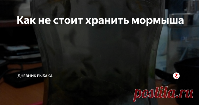 Как не стоит хранить мормыша Хранил я однажды мормыша так же как и мотыля в чистой воде и в холодном месте, спустя три- четыре дня он был жив. Совсем недавно приехав с рыбалки я так же залил мормыша водой и как обычно он там начал плавать, поменял через время воду, быстро загрязняется.