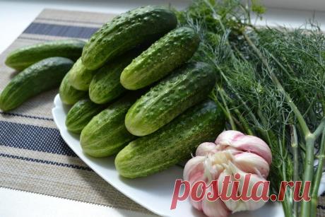 Мои малосольные огурчики всегда получаются хрустящими. (старый проверенный рецепт, который мне нравится больше всего)
Всем привет! Сезон домашних огурчиков уже давно открыт. Это совсем не те,...
Читай пост далее на сайте. Жми ⏫ссылку выше