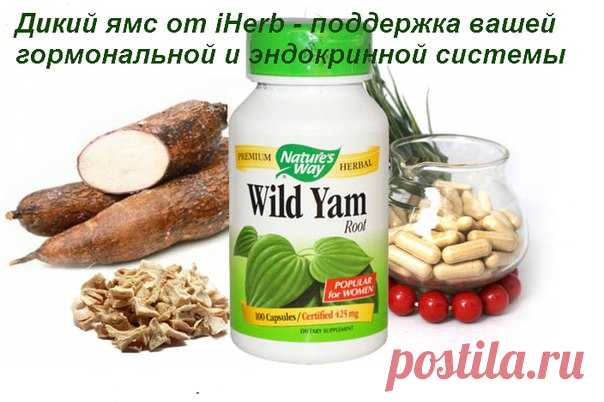 Дикий ямс - для эндокринной системы от iHerb
https://iherb.co/23uVpvmm
Продукт регулирует гормональный баланс женского организма, снижает уровень холестерина в крови, предупреждает сосудистые спазмы и нормализует артериальное давление, нормализует метаболические нарушения, связанные с возрастными изменениям (ожирение, диабет, деструктивные изменения соединительной и хрящевой ткани, остеопороз).
Показать полностью…