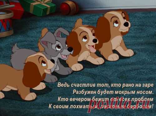 Надписи на картинках и пост Лены Мамлевой