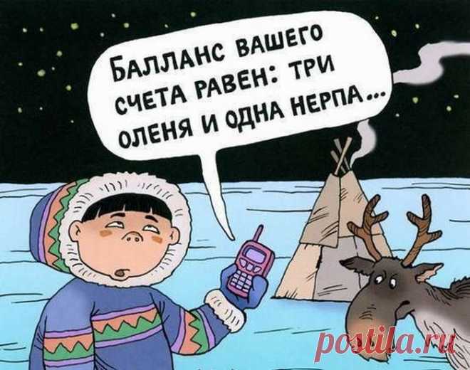 Отличные анекдоты для всех / Приколы