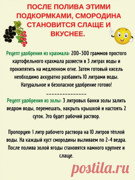 Nn8t6kMZY6q7uHqs5oMe0zU1yeE-6niaHnBJJ9gSUkXCfb7tm8PxskG1HwdDwyqU-3KWVkpm6UZwy_wgGL66h1GX.jpg (605×807)