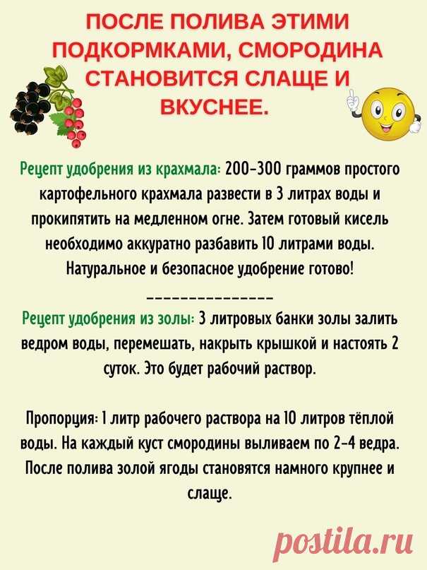 Nn8t6kMZY6q7uHqs5oMe0zU1yeE-6niaHnBJJ9gSUkXCfb7tm8PxskG1HwdDwyqU-3KWVkpm6UZwy_wgGL66h1GX.jpg (605×807)