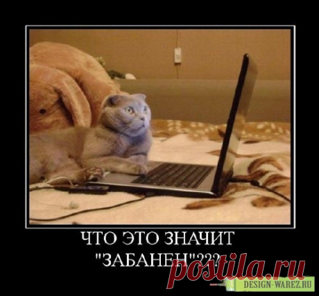 )))