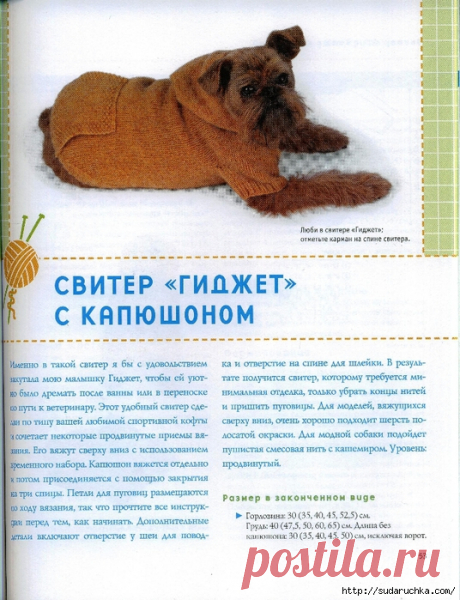 "Вяжем для четвероногих модников". Книга по вязанию.