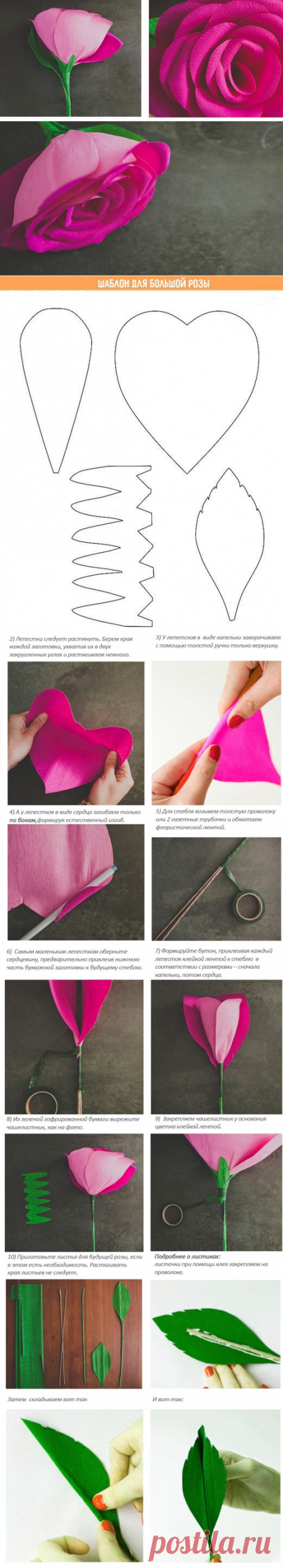 Гигантские розы: мастер-класс — Сделай сам, идеи для творчества - DIY Ideas