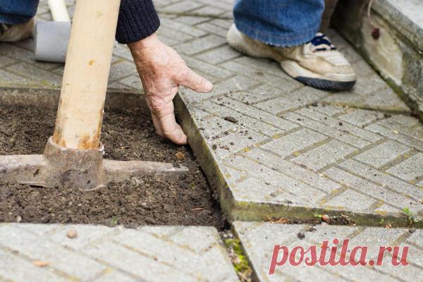 Профилированная мембрана для садовых дорожек: для чего нужна и как укладывать