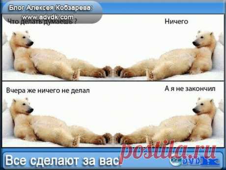 Как изменить домен сайта без малейших потерь