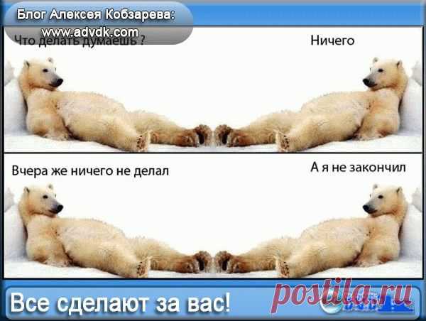 Как изменить домен сайта без малейших потерь
