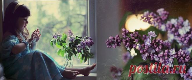 Легенда о сирени. | Самоцветик