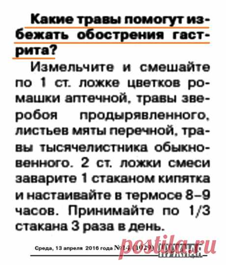 Травы от обострения гастрита