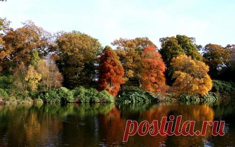 Новые фотографии природа обои.