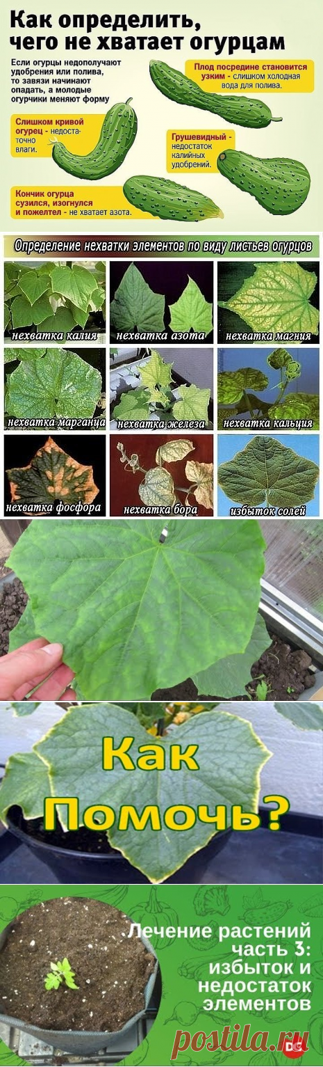 (1) Одноклассники