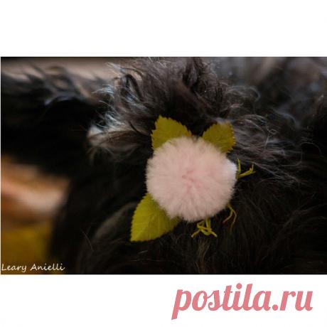 Заколка для собаки. #dog #hair_accessories #handmade #hair_clip #flower #собака #заколка #цветок #заколка_для_собак #фоамиран