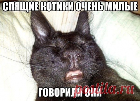 Прикольные картинки с подписями / Приколы