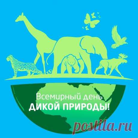 С днем дикой природы
Я вас поздравляю,
Всем миром природу
Беречь призываю.