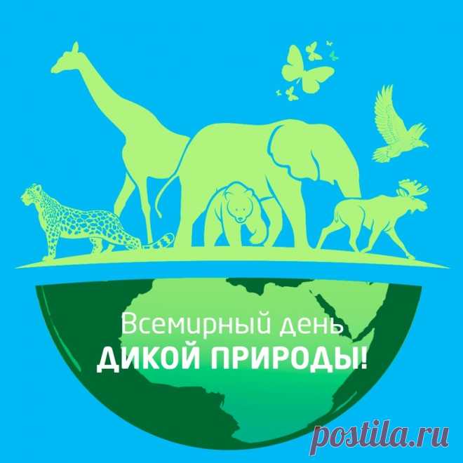 С днем дикой природы
Я вас поздравляю,
Всем миром природу
Беречь призываю.
