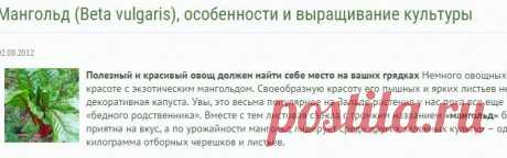 Мангольд (Beta vulgaris), особенности и выращивание культуры