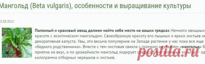 Мангольд (Beta vulgaris), особенности и выращивание культуры
