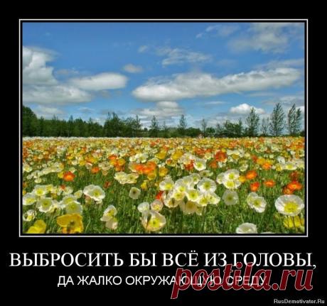 Гела Магия - Сделайте оберег от порчи на семью Из письма Мурзиной...