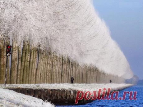 Необычные фотографии без участия фотошопа