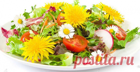 Цветочная кухня — Интересные факты