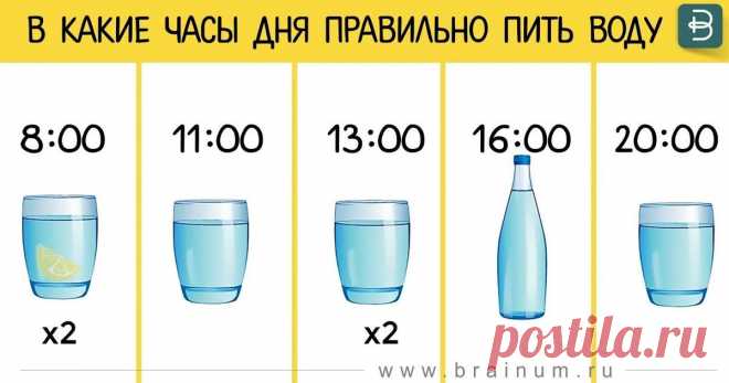 КАК И В КАКИЕ ЧАСЫ ПИТЬ ПРАВИЛЬНО ВОДУ.