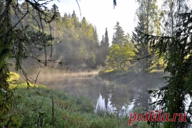 Утро.Тверская обл.