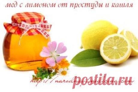 Мед с лимоном. Польза. Рецепт. | Блог Алёны Кравченко
