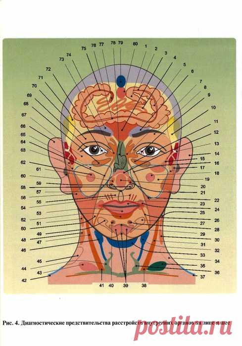 ОГУЛОВ "МЕТОДЫ ФУНКЦИОНАЛЬНОЙ ДИАГНОСТИКИ"