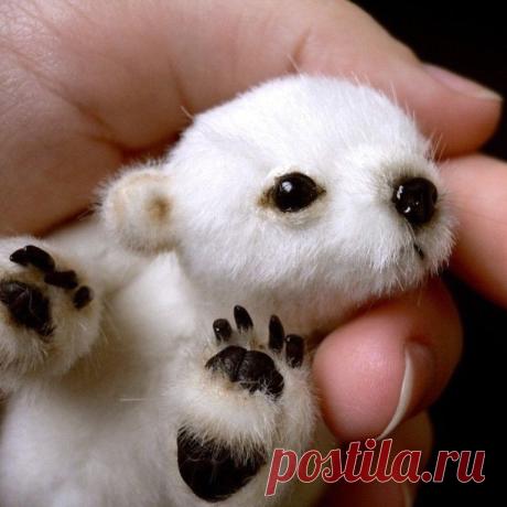 Konstantin Kabanov
31 год, Россия, VLG