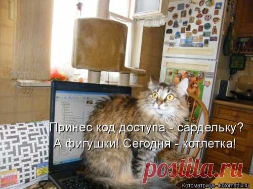 Новая смешная котоматрица